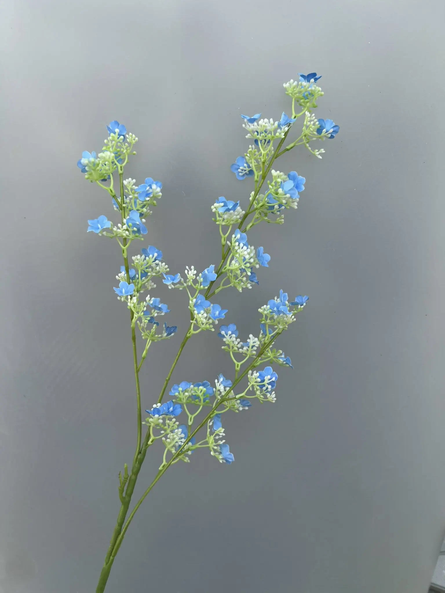 Hoa Tuyết Mai 3 Nhánh - Ảnh 18