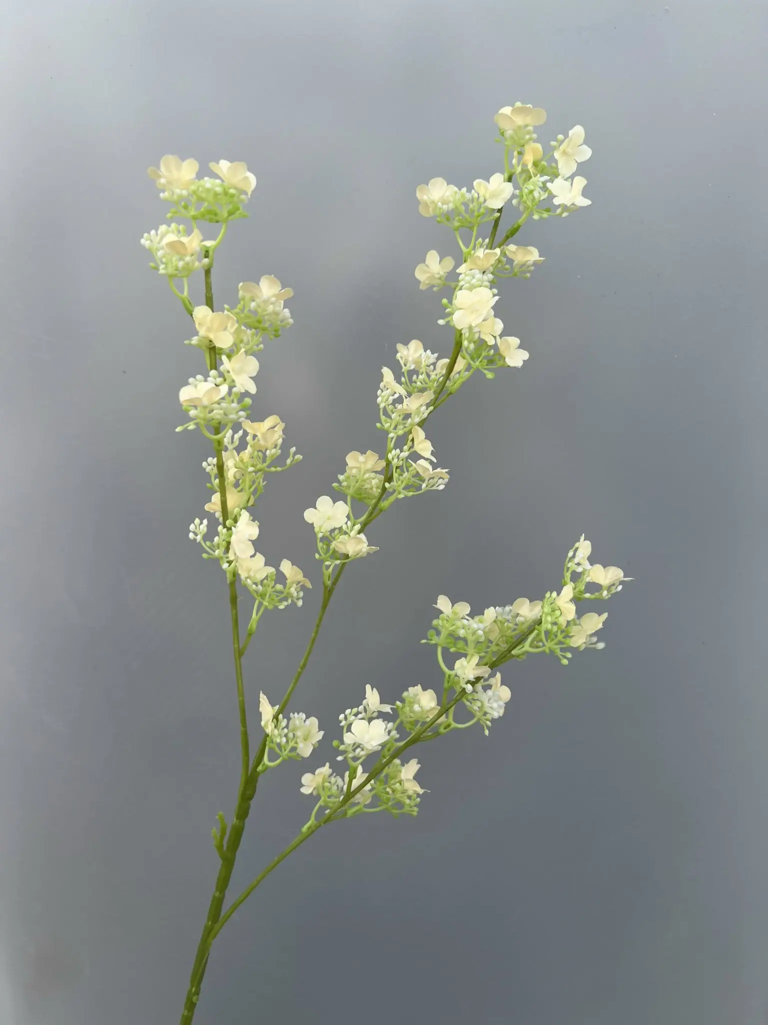 Hoa Tuyết Mai 3 Nhánh - Ảnh 21