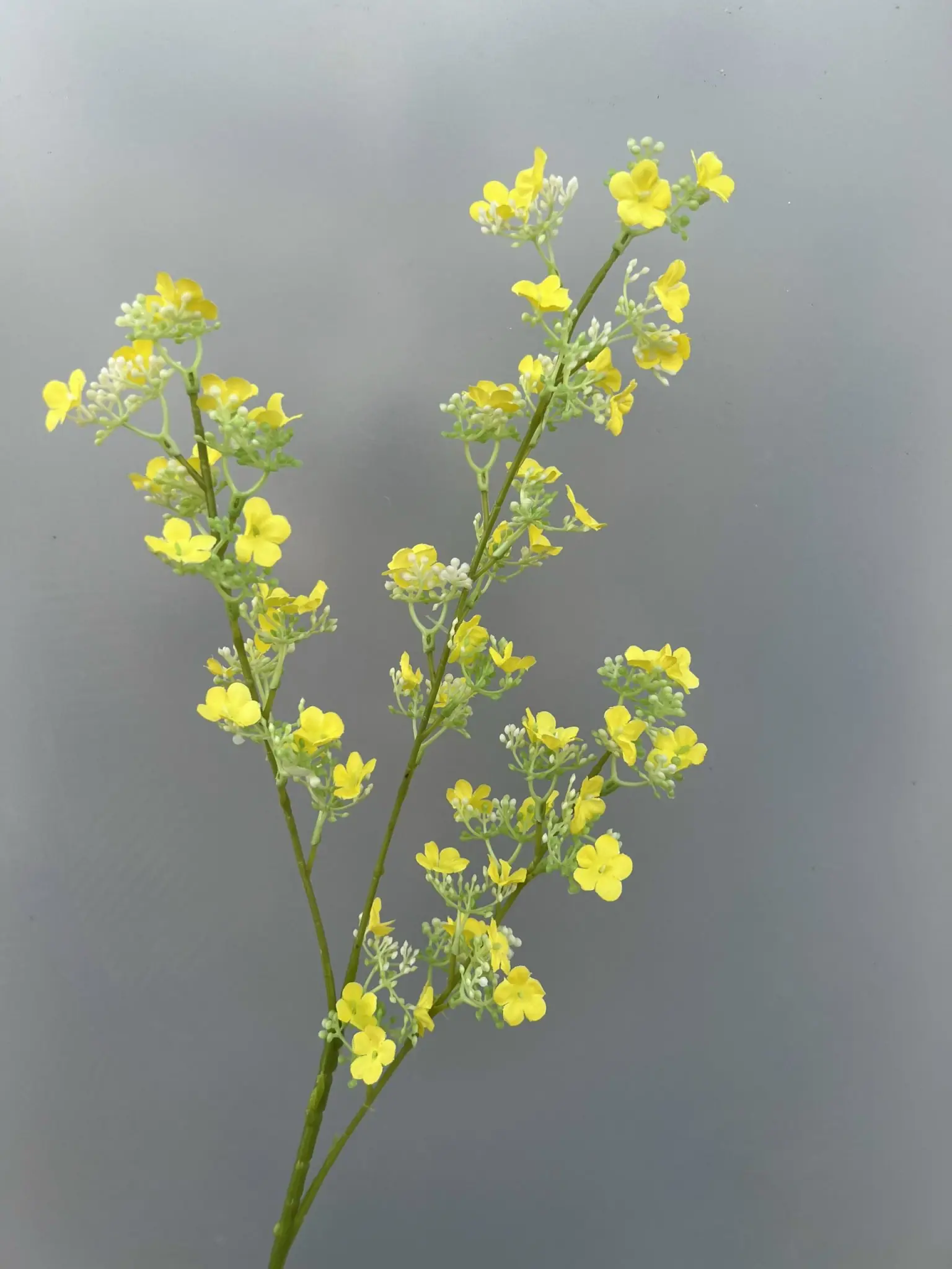 Hoa Tuyết Mai 3 Nhánh - Ảnh 22