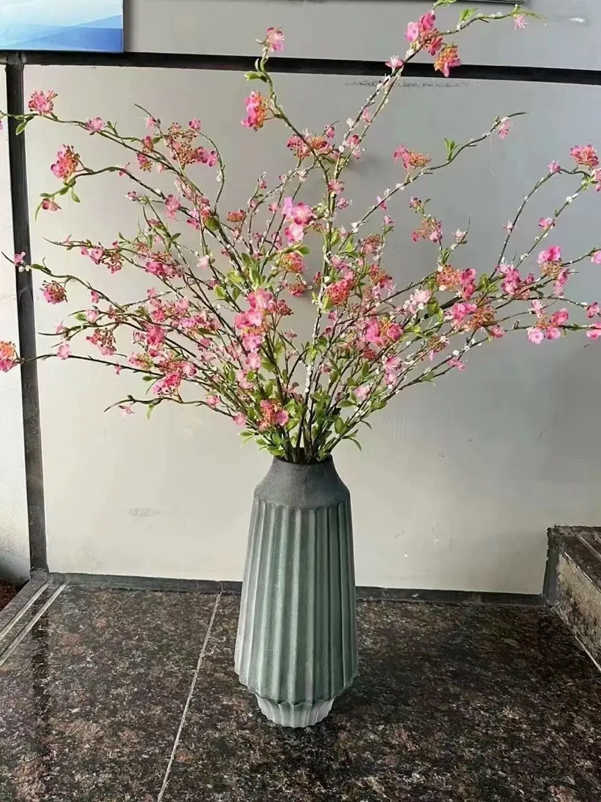 Hoa Tuyết Mai Vip - Ảnh 2