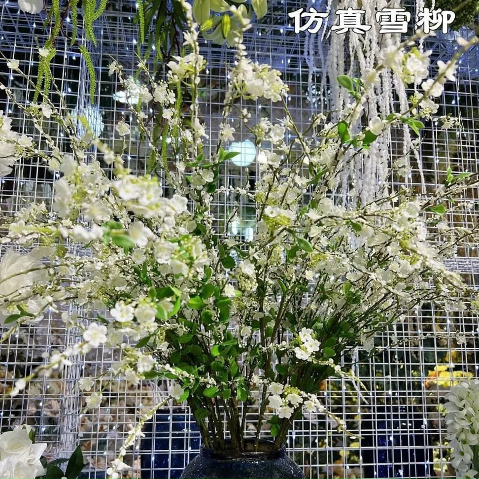 Hoa Tuyết Mai Vip - Ảnh 3