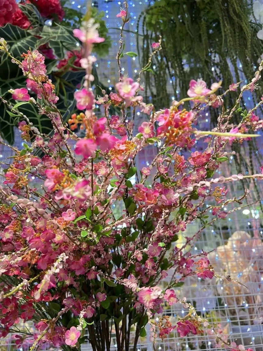 Hoa Tuyết Mai Vip - Ảnh 5