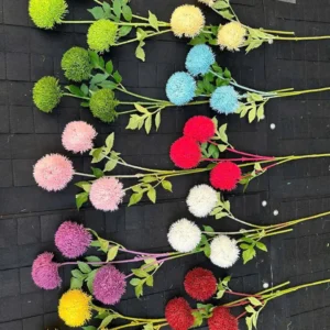 thạch trúc 3 bông