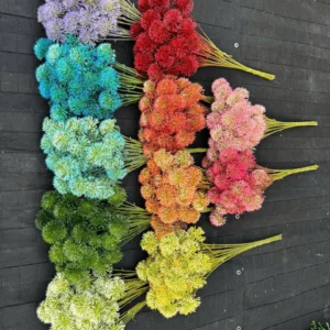 bồ công anh 4 bông