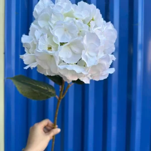 tú cầu kép RETRO