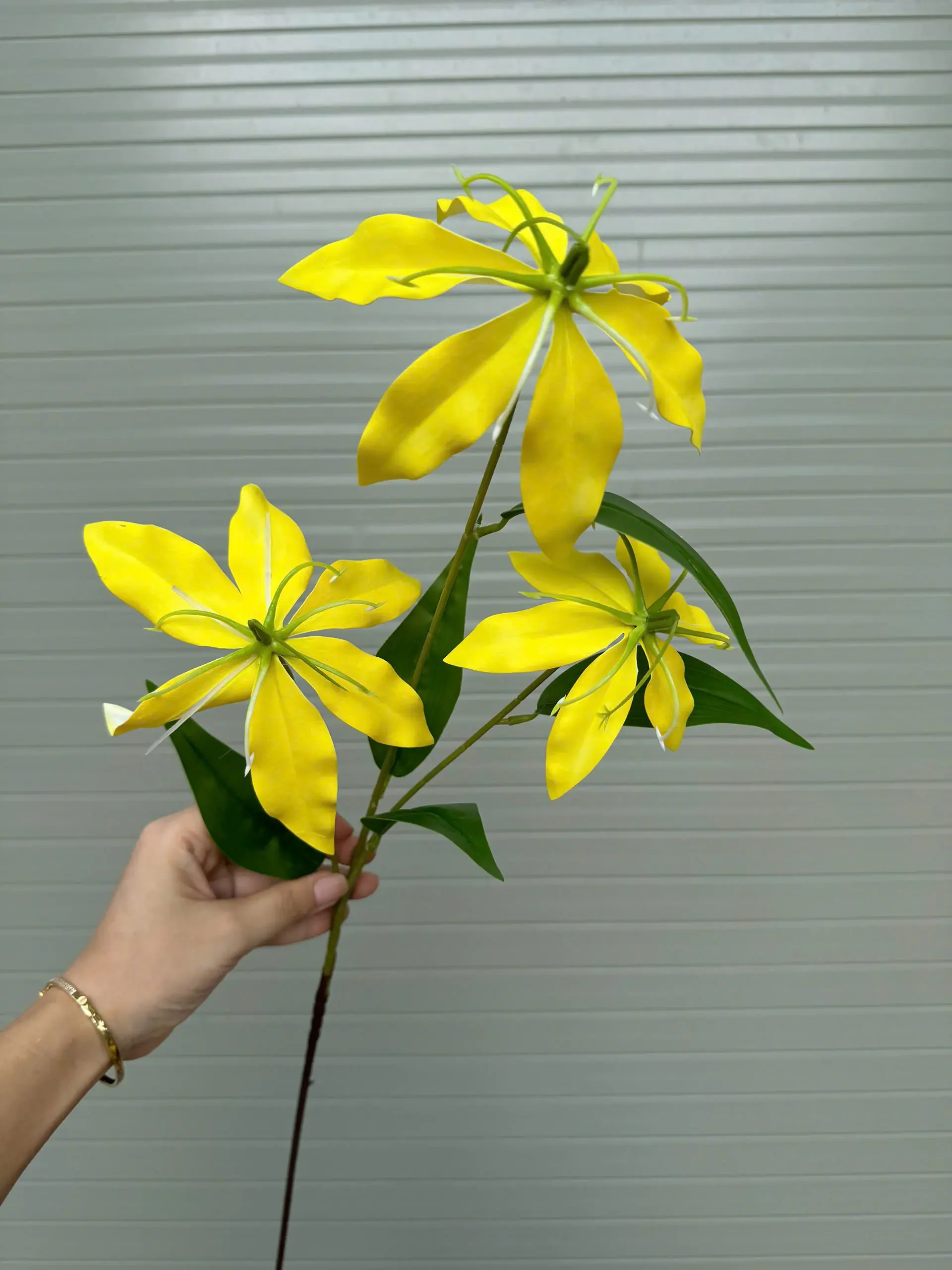 BỈ NGẠN 3D - Ảnh 5