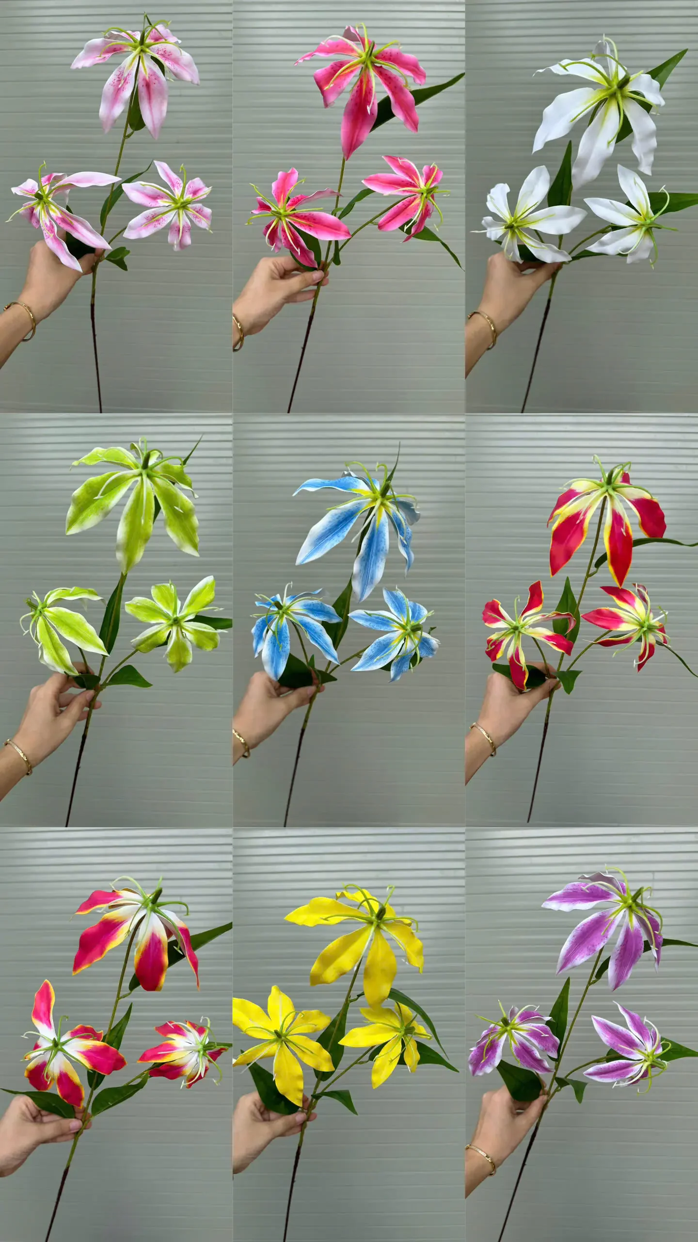 BỈ NGẠN 3D - Ảnh 2