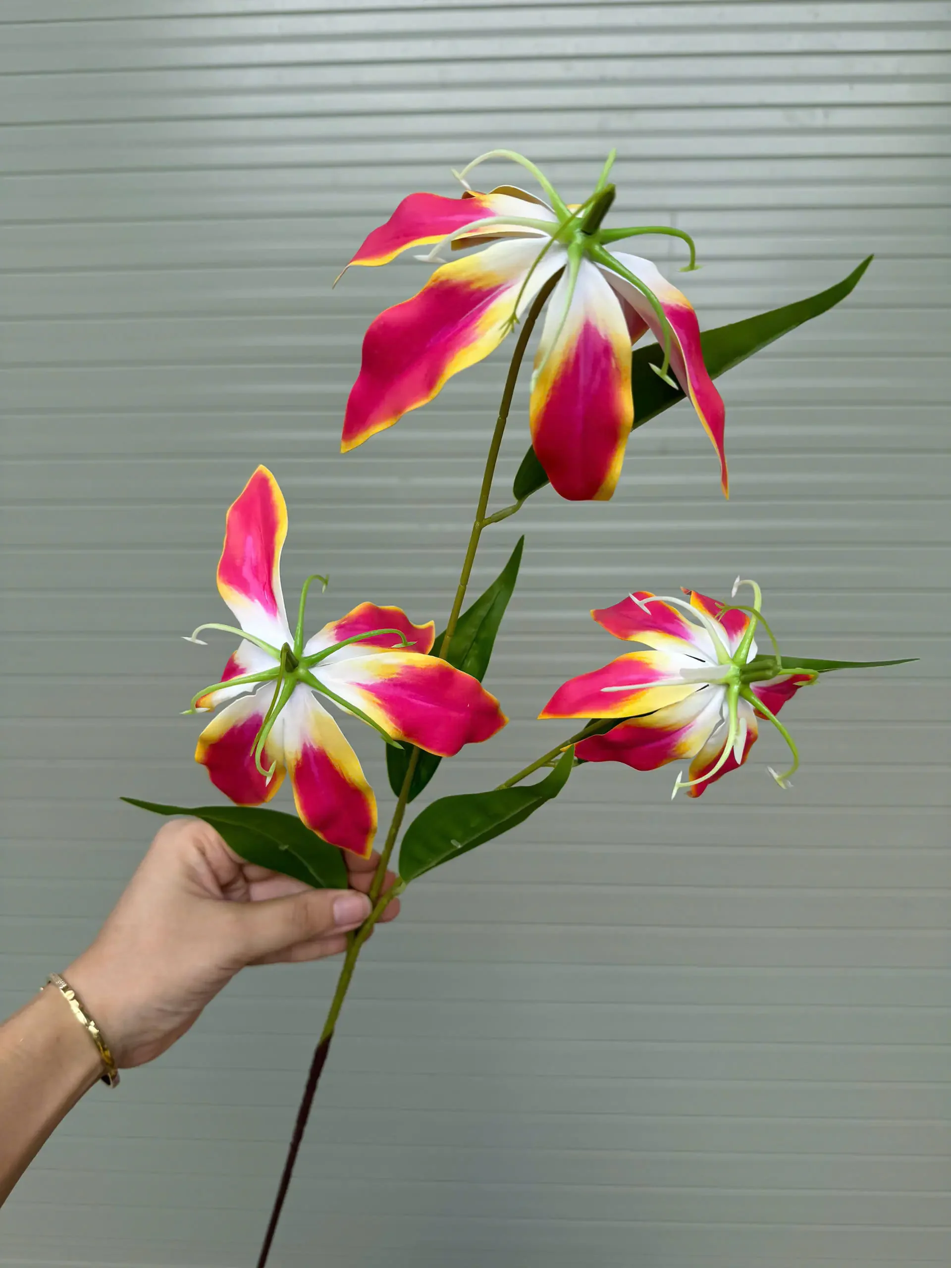 BỈ NGẠN 3D - Ảnh 3