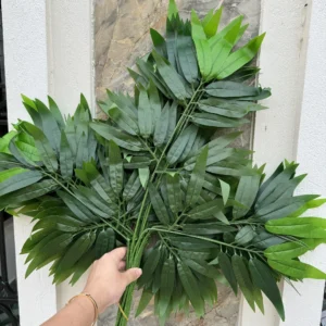 BÓ LÁ TRE TO VÀ NHỎ