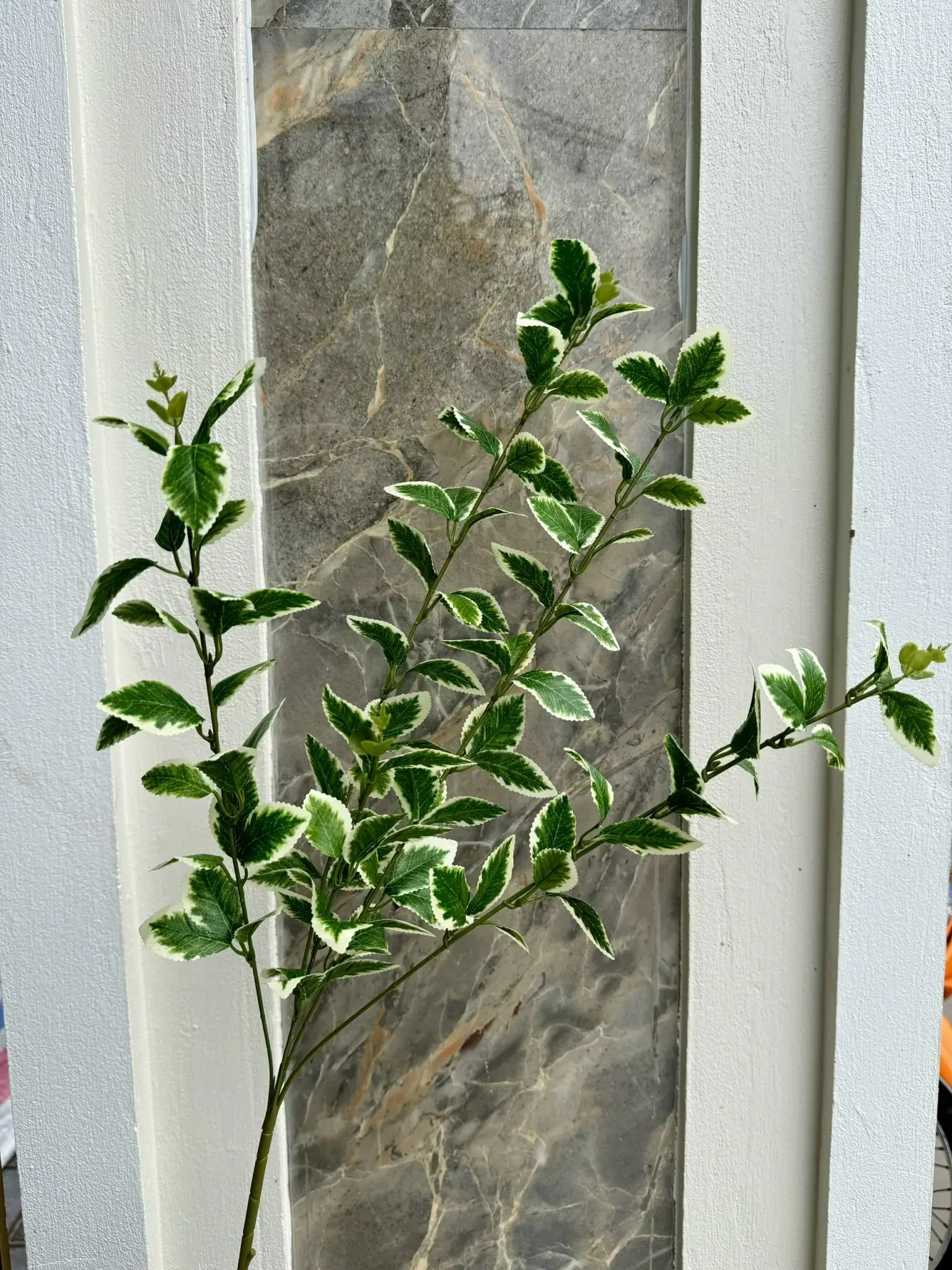 CHỒI NON - Ảnh 4