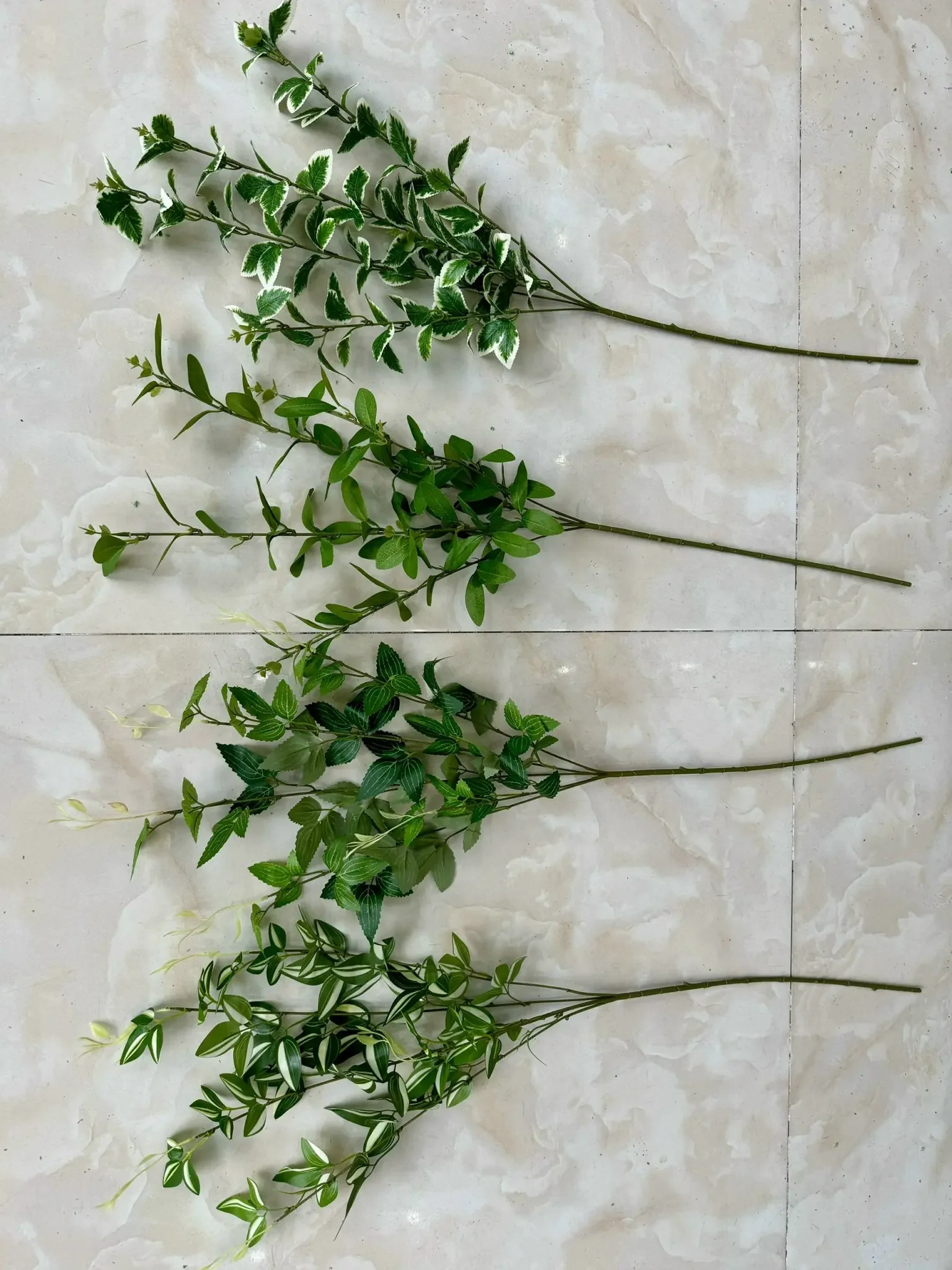CHỒI NON - Ảnh 3