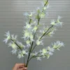CỎ MẦN TRẦU