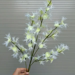 CỎ MẦN TRẦU