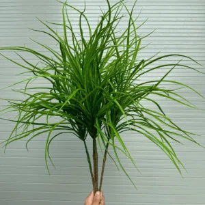CỎ SẬY
