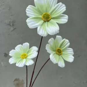 CÚC DAISY 3B