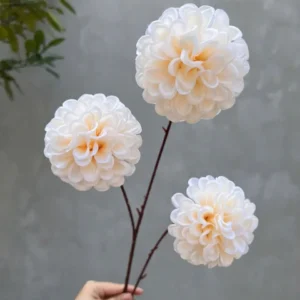 CÚC TỔ ONG BÉ 3B THÂN TO