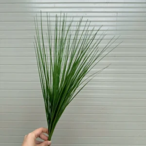 CỤM CỎ LAU
