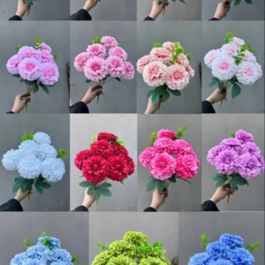 CỤM CÚC TỔ ONG NHỠ 7B KO LÁ