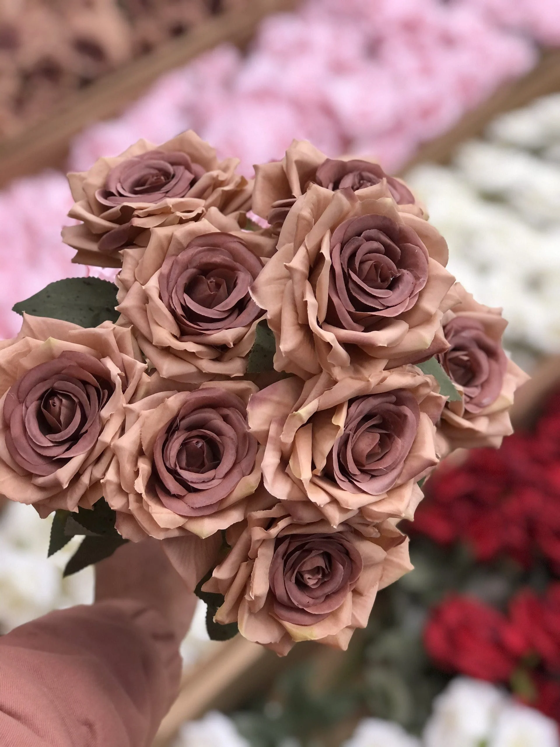 CỤM HỒNG GẤM 9 BÔNG - Ảnh 8