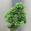 CỤM MỘC TRÀ 9B KO LÁ