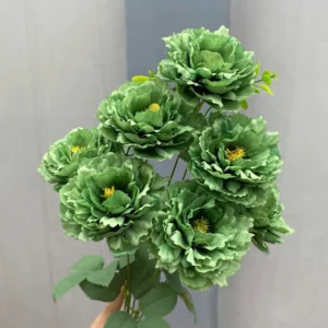 CỤM MỘC TRÀ 9B KO LÁ