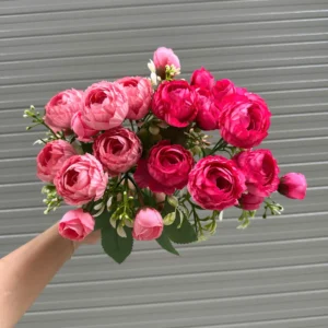 CỤM TRÀ HẠT