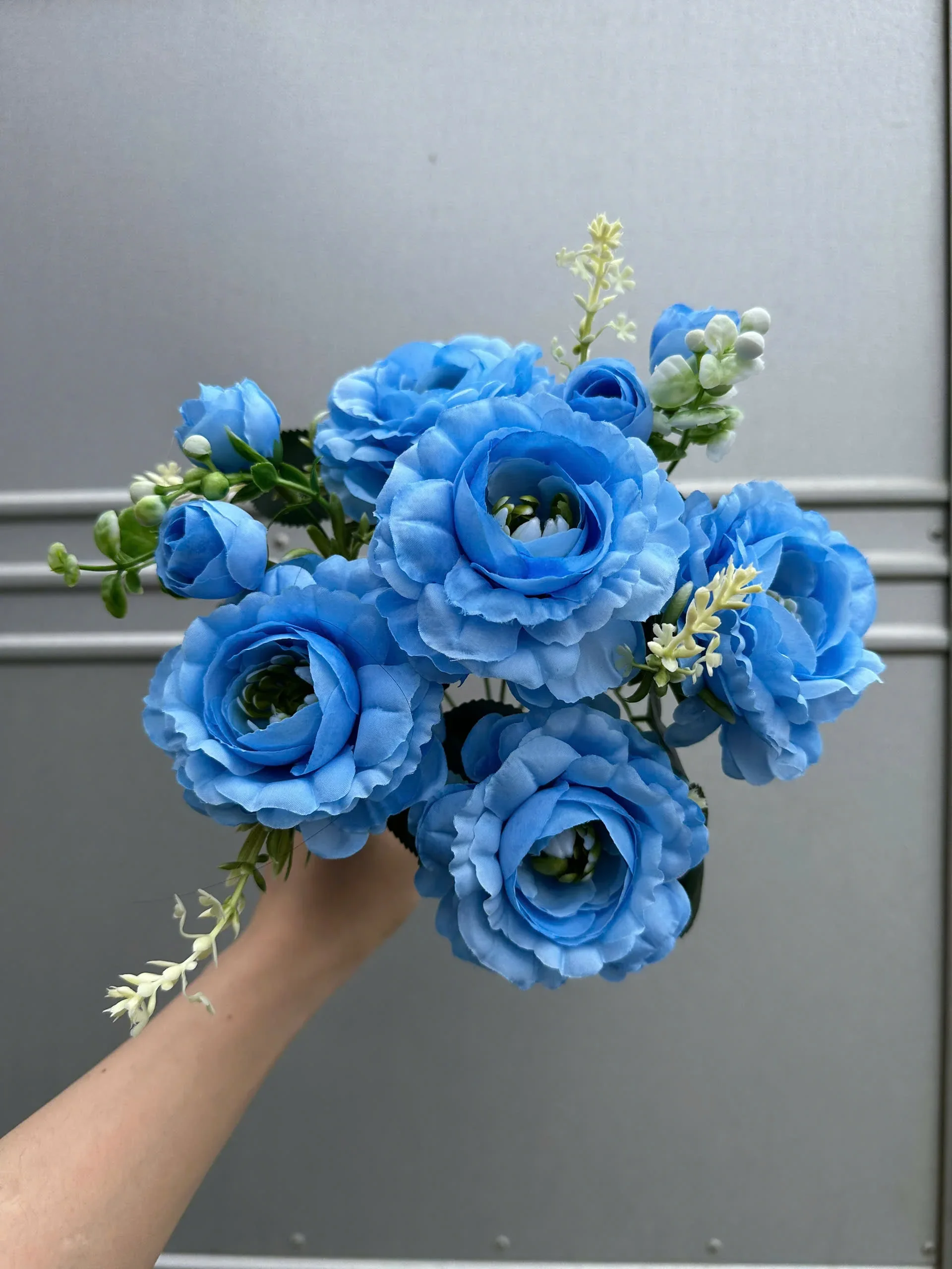 CỤM TRÀ HẠT - Ảnh 22