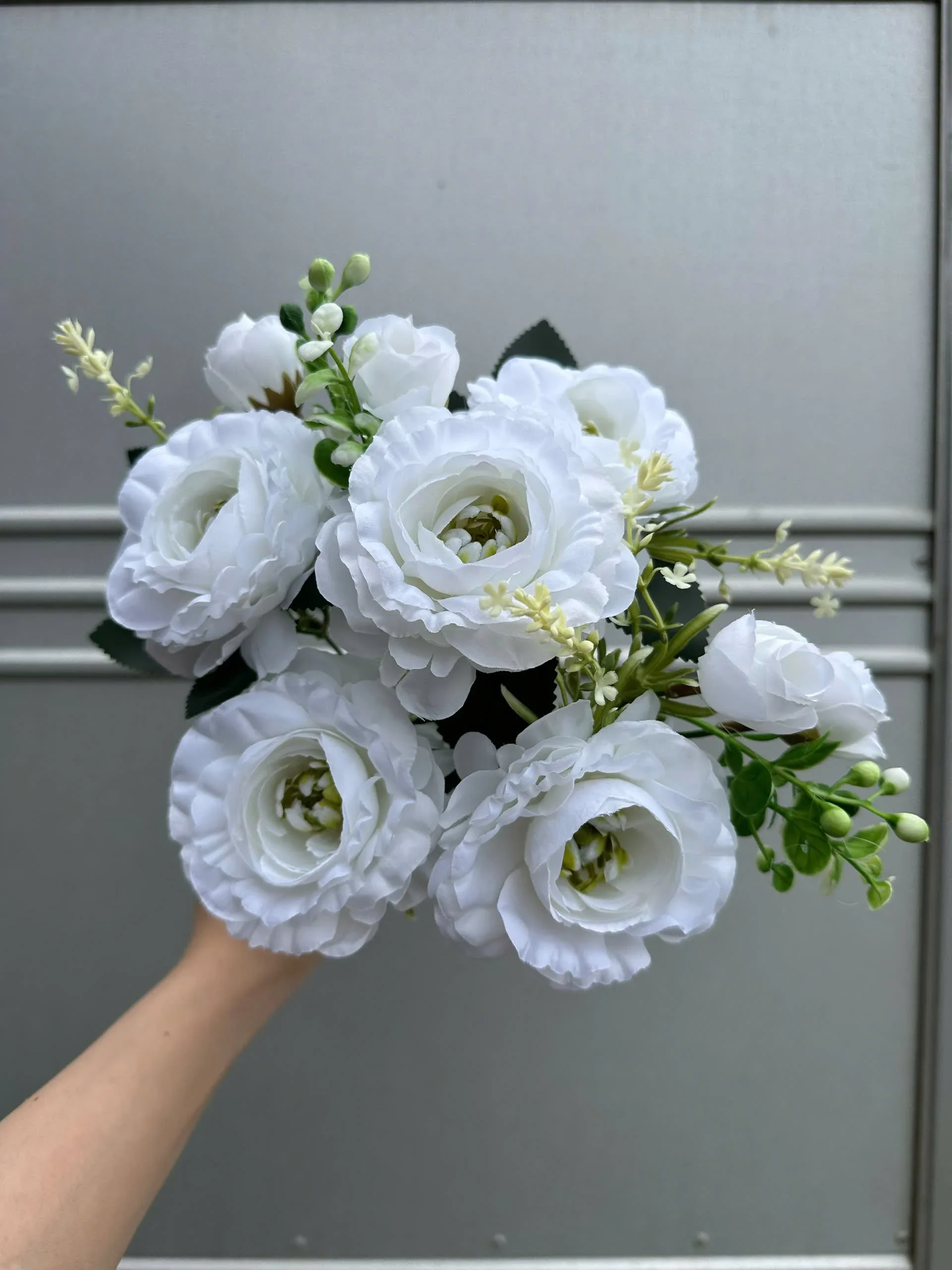 CỤM TRÀ HẠT - Ảnh 16