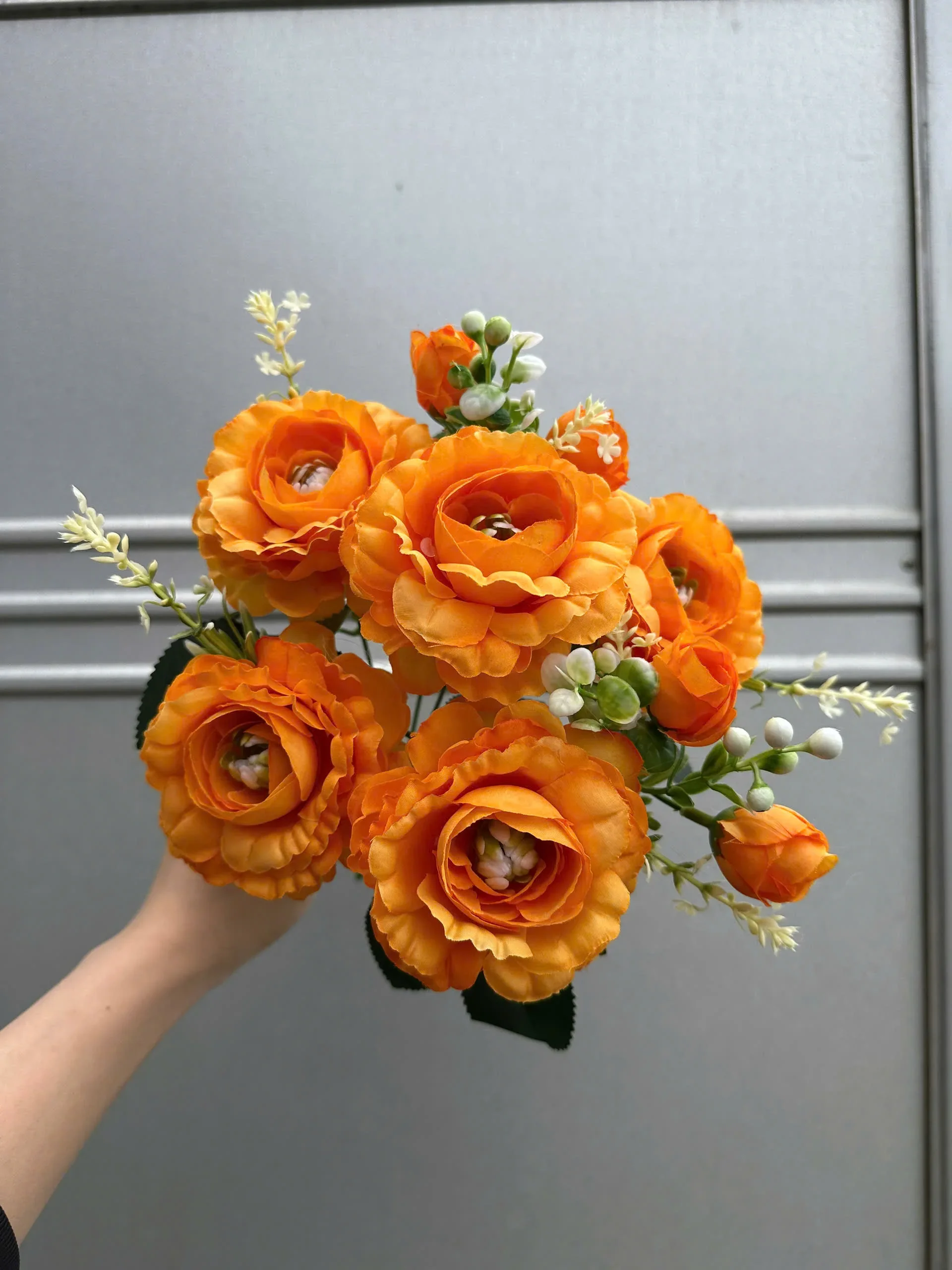 CỤM TRÀ HẠT - Ảnh 18