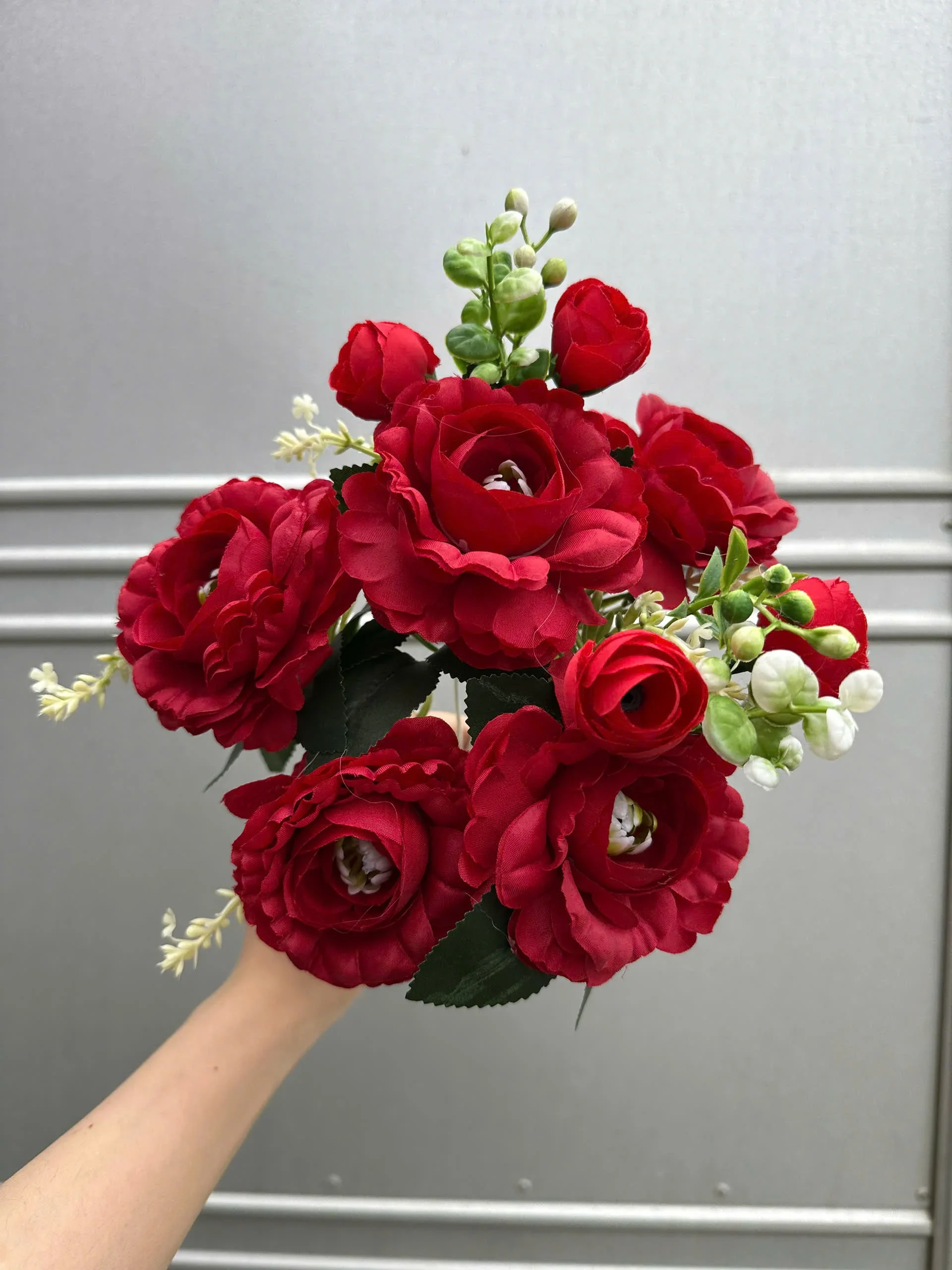 CỤM TRÀ HẠT - Ảnh 17