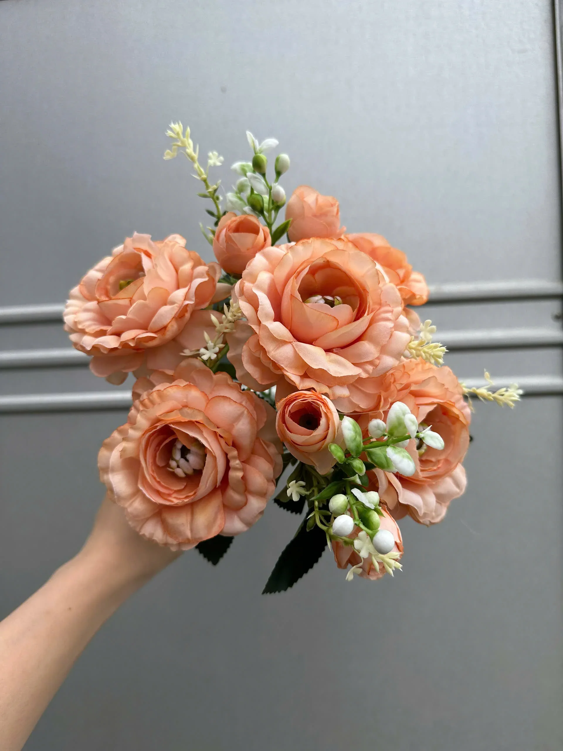 CỤM TRÀ HẠT - Ảnh 6
