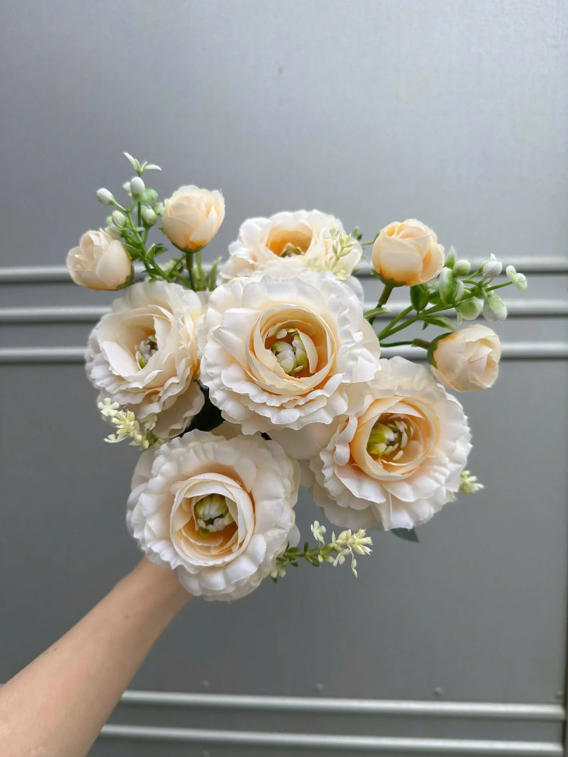 CỤM TRÀ HẠT - Ảnh 12