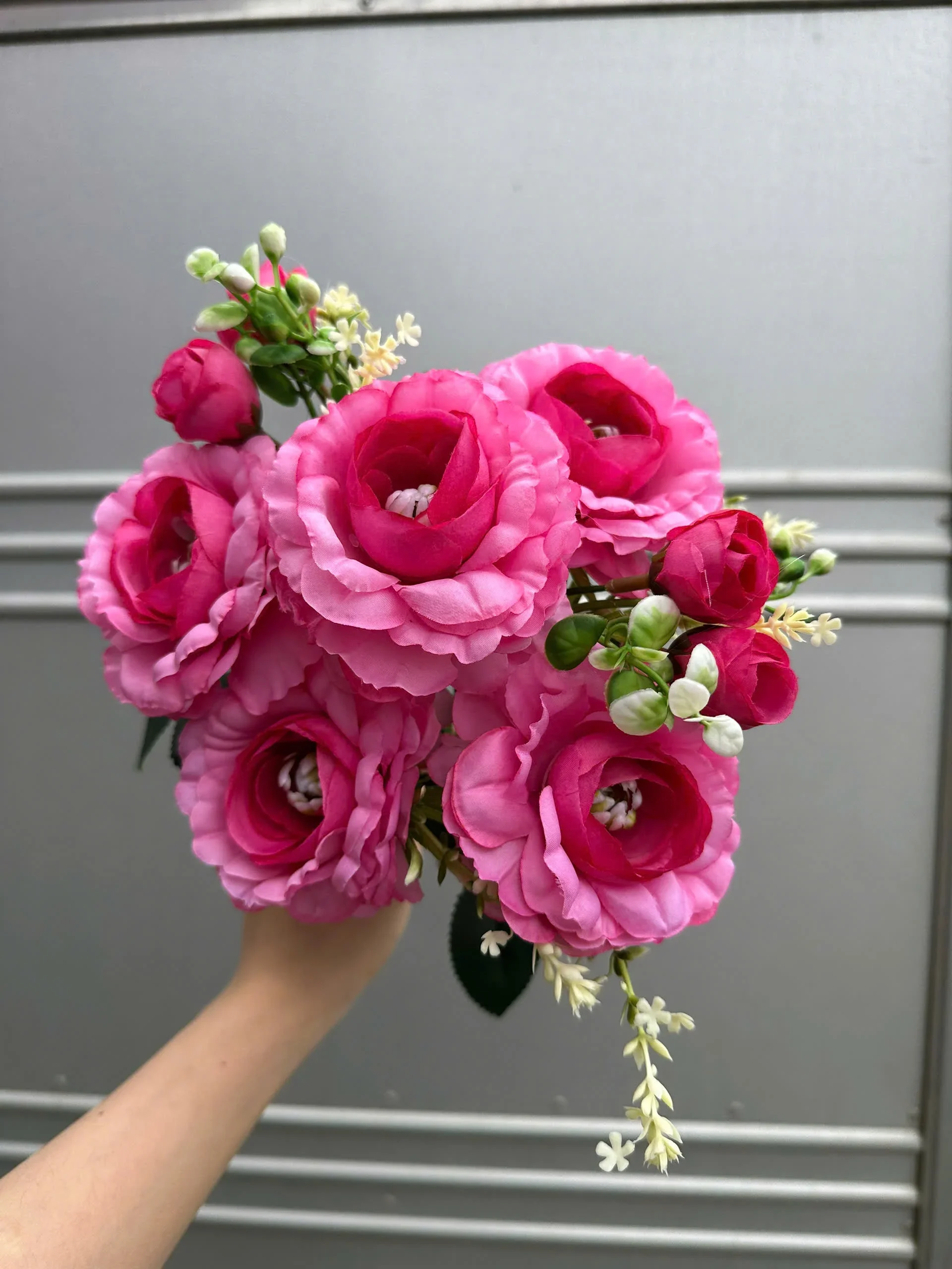 CỤM TRÀ HẠT - Ảnh 8