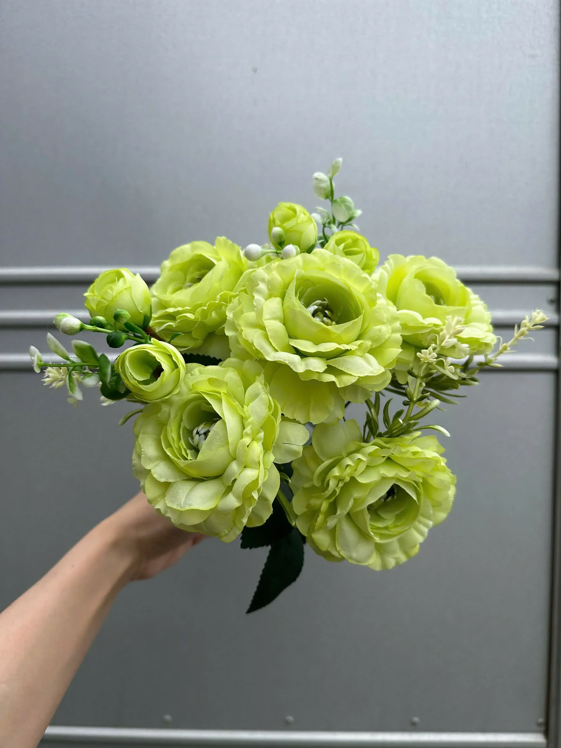 CỤM TRÀ HẠT - Ảnh 19
