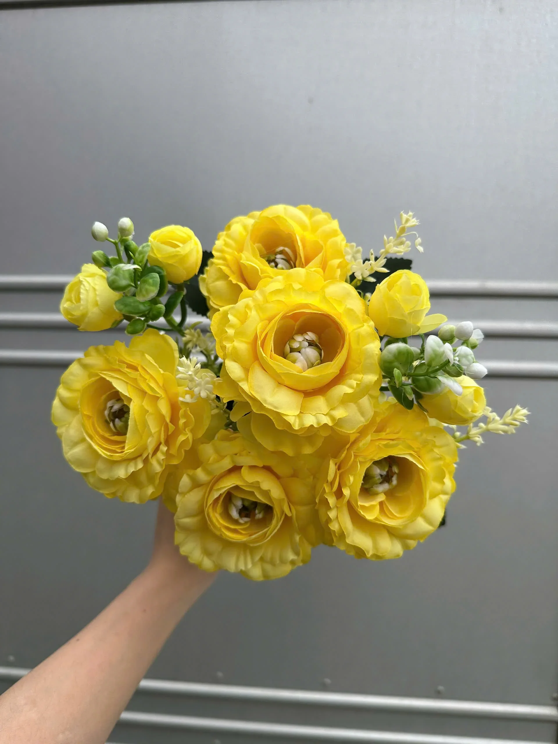 CỤM TRÀ HẠT - Ảnh 20