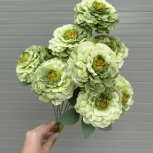 CỤM TRÀ LOANG 7 BÔNG VN