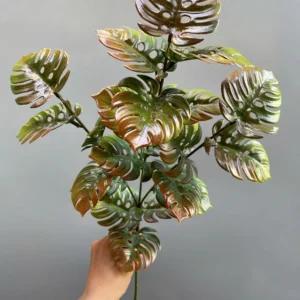 ĐIỂM LÁ RÙA VN