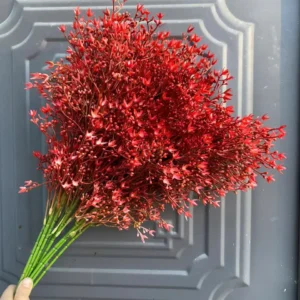 ĐIỂM SAO NHÍ