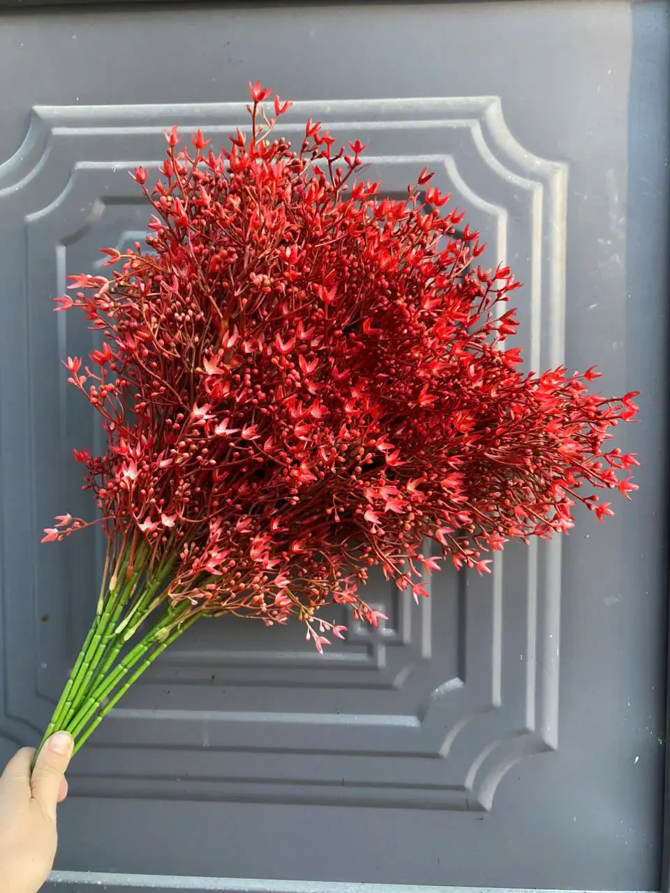 ĐIỂM SAO NHÍ