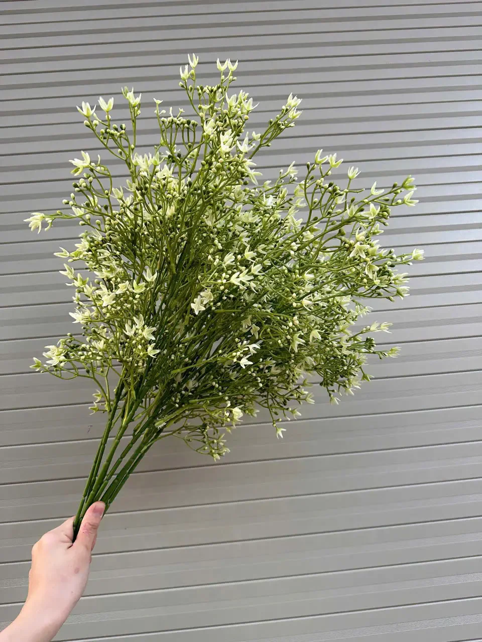 ĐIỂM SAO NHÍ - Ảnh 11
