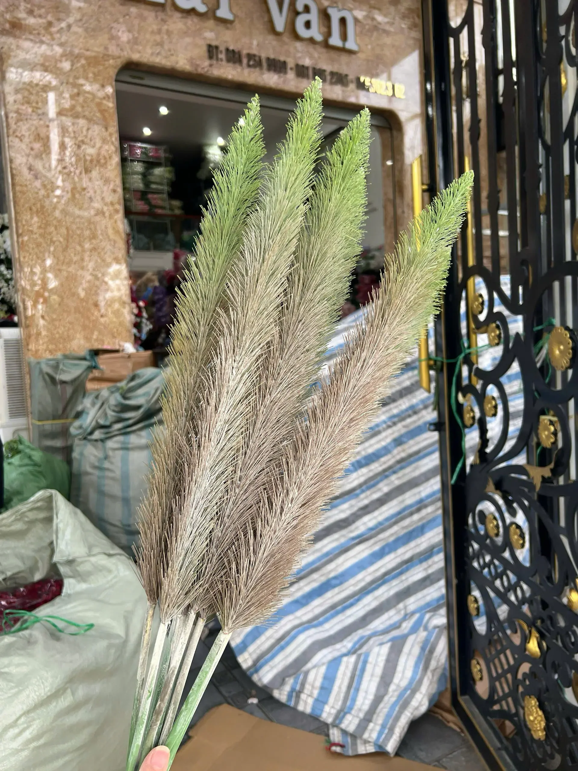 ĐUÔI CHỒN 1 NHÁNH - Ảnh 10