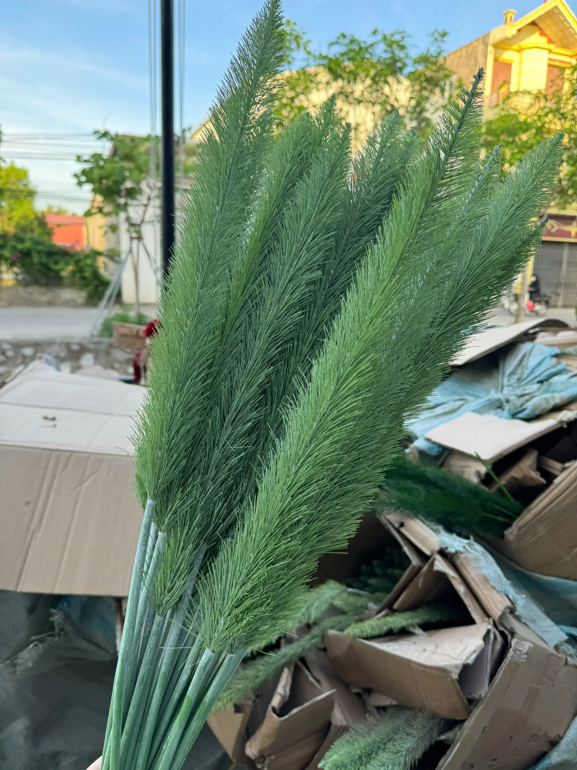 ĐUÔI CHỒN 1 NHÁNH - Ảnh 6