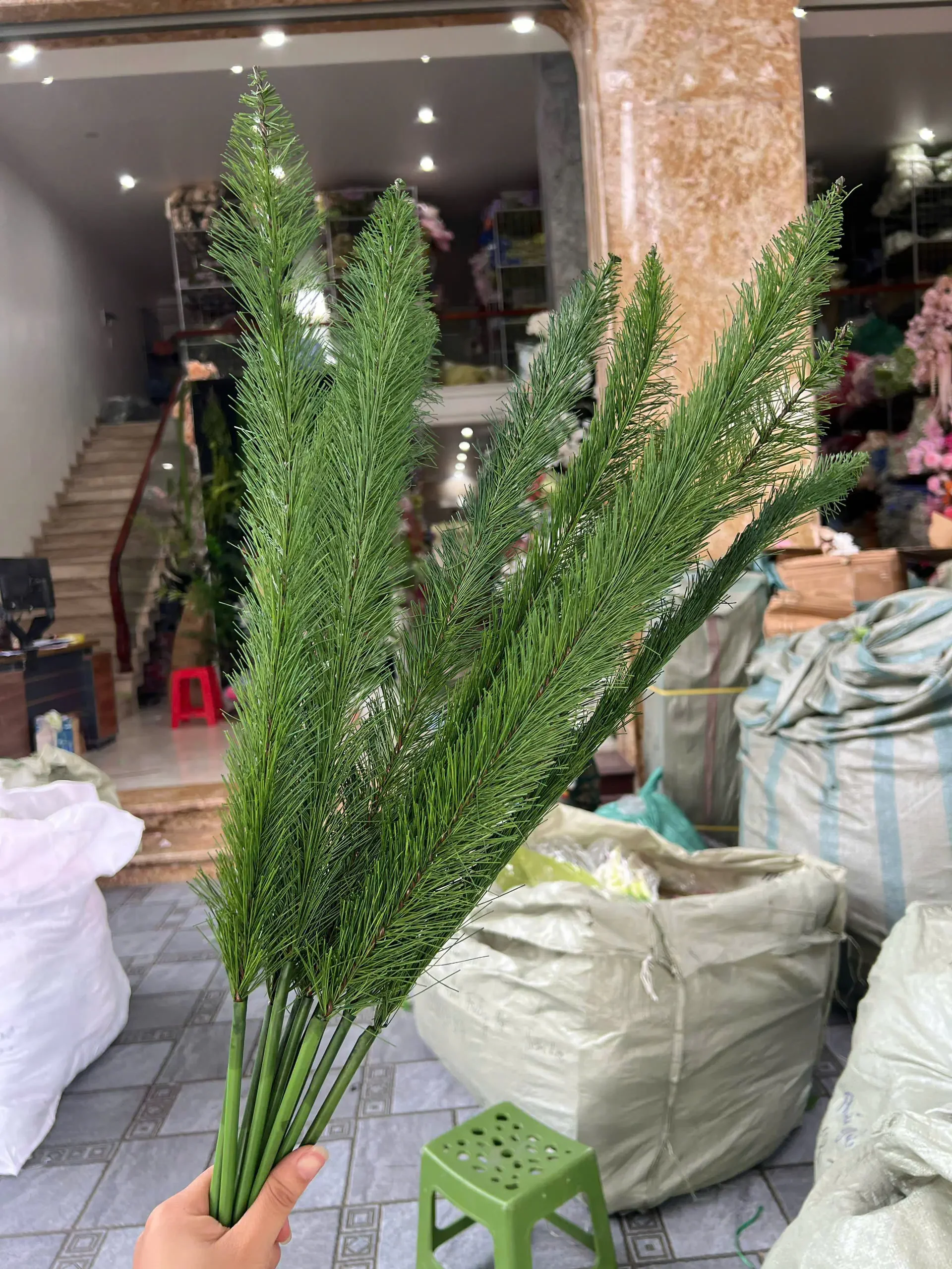 ĐUÔI CHỒN 1 NHÁNH - Ảnh 3