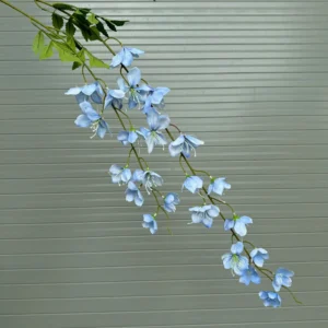 HẢI ĐƯỜNG 2 NHÁNH