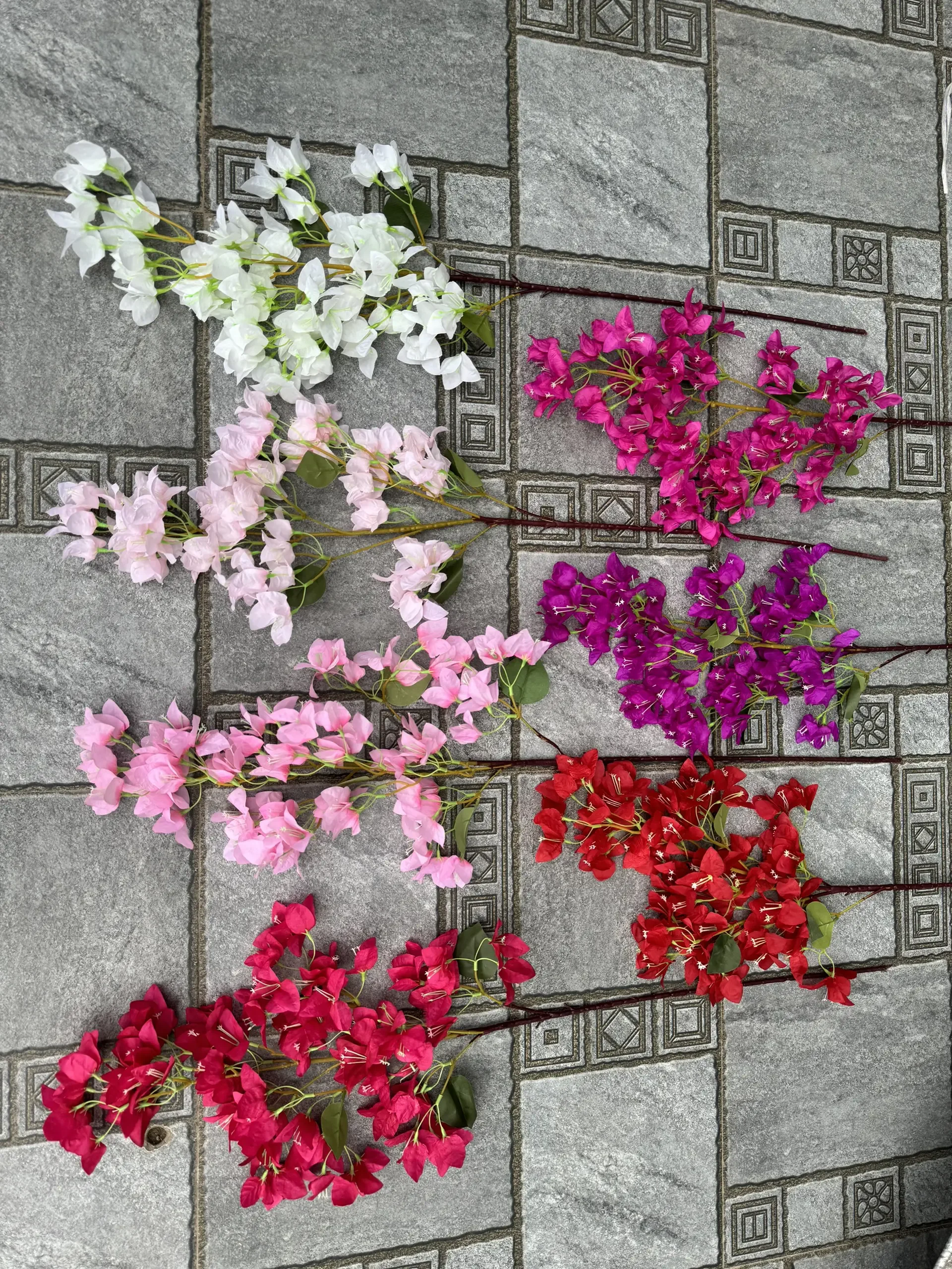 HOA GIẤY