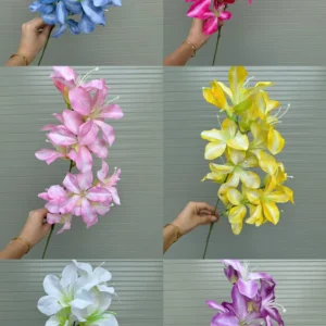 HOA LAN LỬA