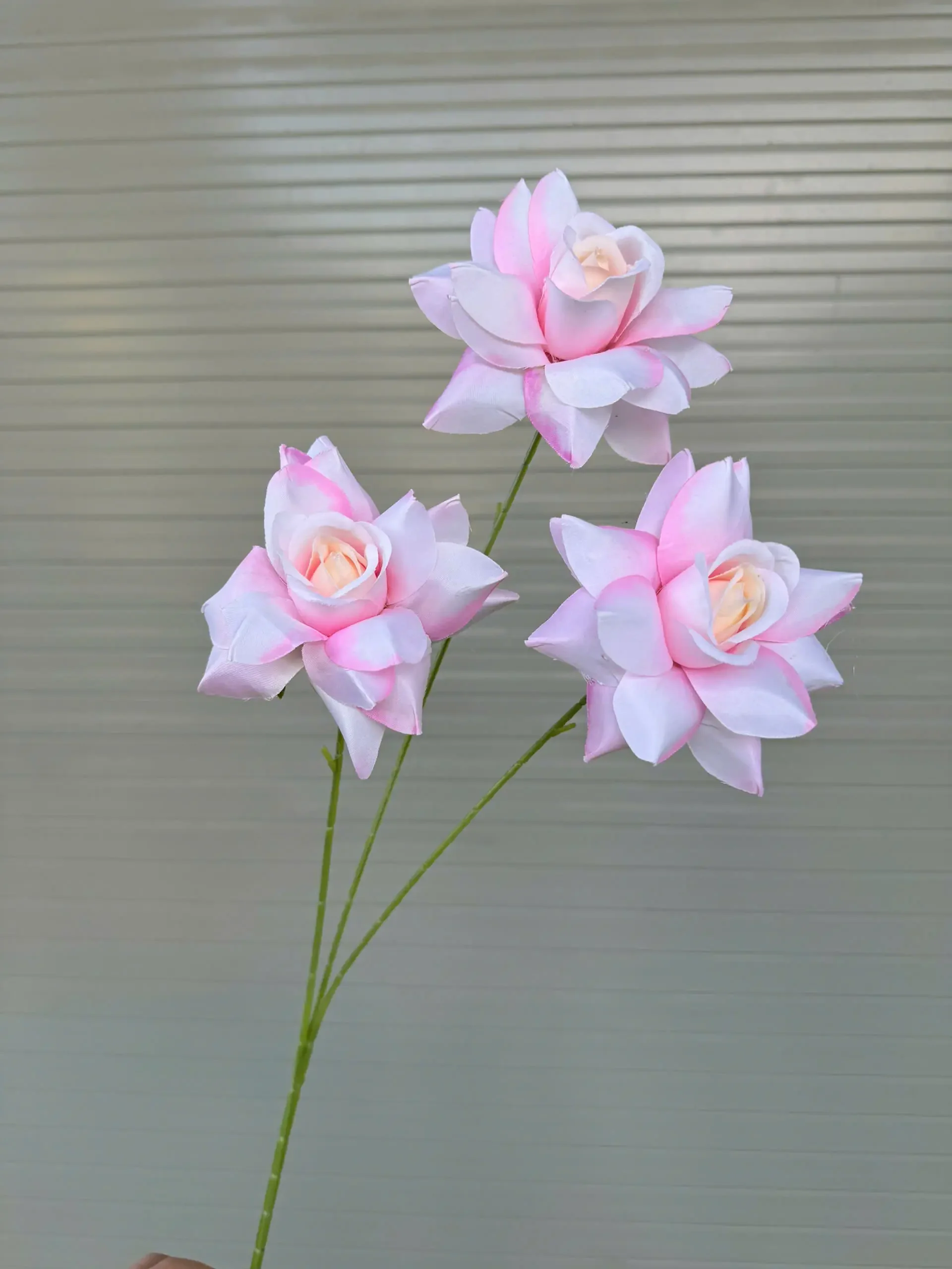 HỒNG BLOOM - Ảnh 22