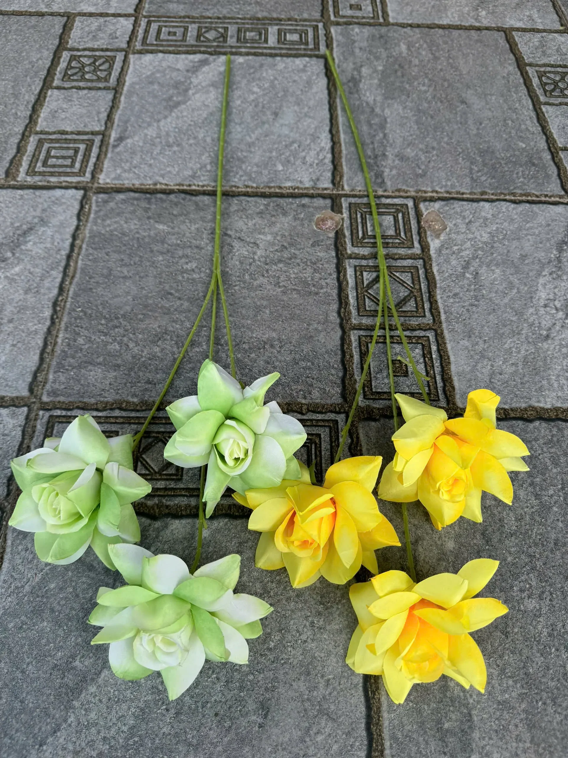 HỒNG BLOOM - Ảnh 17