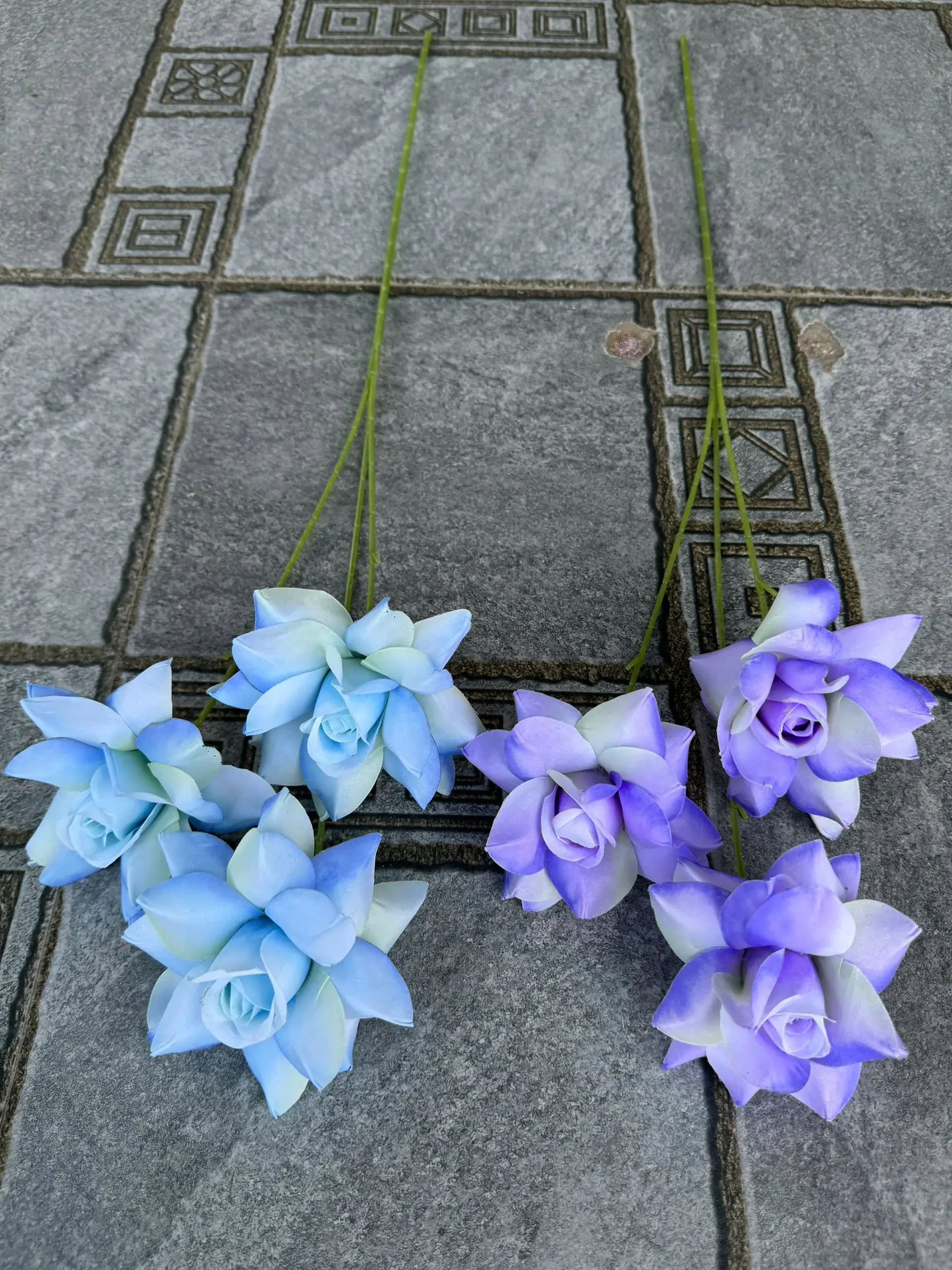 HỒNG BLOOM - Ảnh 13
