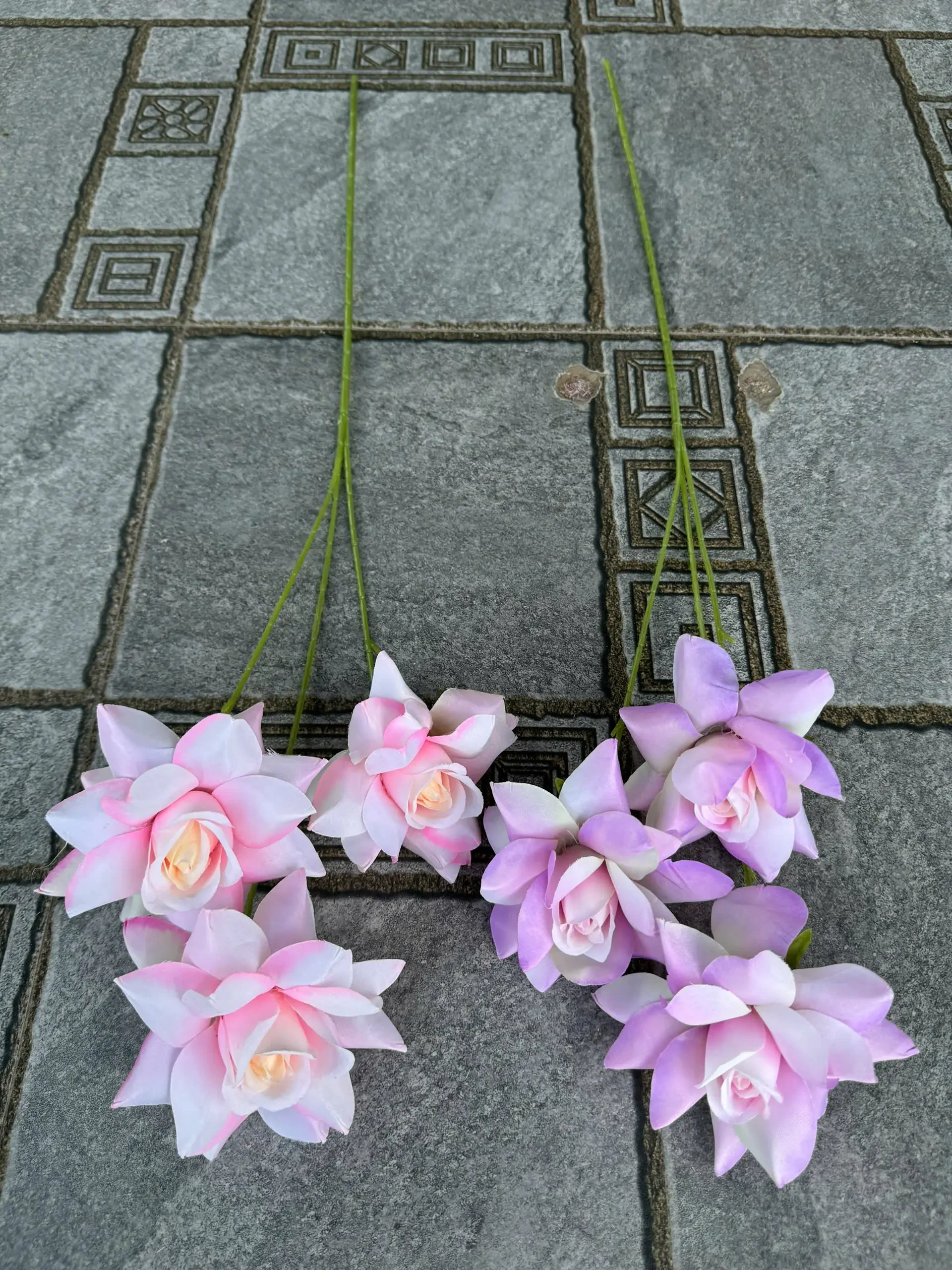 HỒNG BLOOM - Ảnh 6
